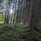Radek Fuciman on peak Příslop