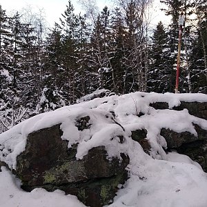 Badger on the summit of Radkovský vrch (29.12.2020 14:15)