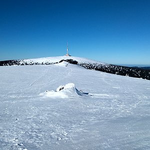 Alda na vrcholu Vysoká hole (16.2.2019 14:18)