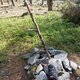 Mykas na vrcholu Homole