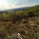 daja.cz na vrcholu Tanečnice (30.4.2020 18:17)