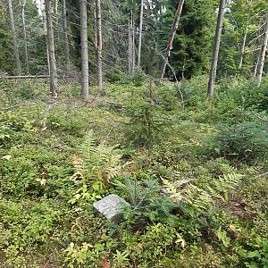 ZdenkaV na vrcholu Demänovská Kykula (10.9.2022)