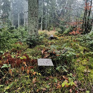 Šárka na vrcholu Demänovská Kykula (5.11.2022 13:29)