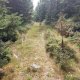 Mykas on peak Špičák (21.8.2023)