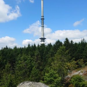 Nojby on the summit of Goethefelsen (28.7.2026 11:50)