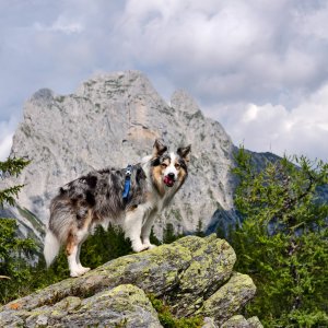 Jiří Králík na vrcholu Lanhgangkogel (8.8.2026 14:35)