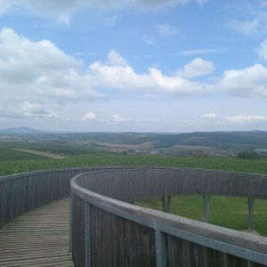 Pavlína na vrcholu Kobylí vrch (29.7.2025 10:41)
