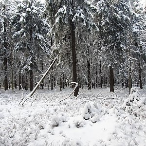 TP na vrcholu Perninský vrch (11.12.2022 13:52)
