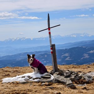 Jiří Králík on the summit of Weißenstein (6.4.2026 12:03)
