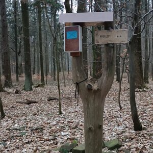 Milda on the summit of Proklest (2.3.2024 17:19)