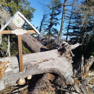 Jan Blažej na vrcholu Jausenkogel (7.11.2025 9:41)