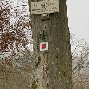 Mertelici na tripu na vrcholu Pyšolec (8.1.2023 11:48)