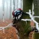 Jiřina na vrcholu Bukový vrch (12.11.2024)