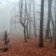 Jiřina na vrcholu Bukový vrch (12.11.2024)