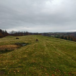 Ila on the summit of Gronik (30.10.2025)