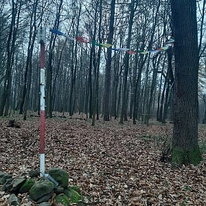 ZdenkaV na vrcholu Kleštěnec (29.11.2022 11:14)