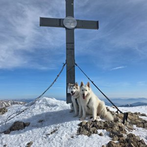 Iwet na vrcholu Eisenerzer Reichenstein (9.2.2025 12:04)