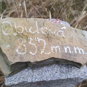 Daflenka na vrcholu Obidová (2.11.2022 10:19)