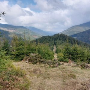 Mykas na vrcholu Obidová (20.4.2023 11:05)