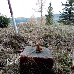 Jiřina na vrcholu Polana (17.4.2022 16:25)