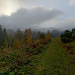 Jan Zamarski na vrcholu Polana (19.10.2025 8:01)
