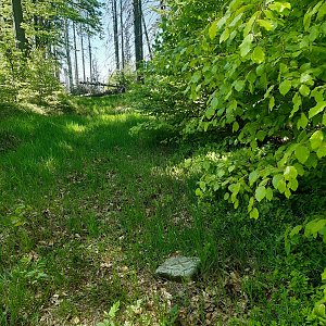 ZdenkaV na vrcholu Úplaz (19.5.2022 12:30)