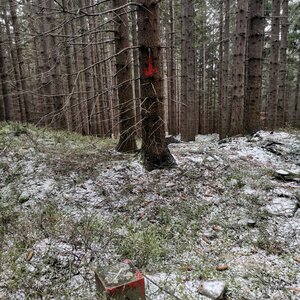 Šárka na vrcholu Beskyd (19.3.2024 11:07)