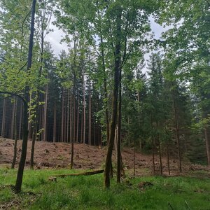 ŠenovKK na vrcholu Beskyd (23.5.2024 10:33)