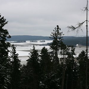 Holi na vrcholu Malý Křakovský vrch (12.12.2021 12:09)