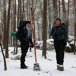 Holi na vrcholu Nad Myslivnou (11.12.2021 11:37)