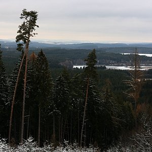 Holi na vrcholu Stinný vrch (12.12.2021 13:13)