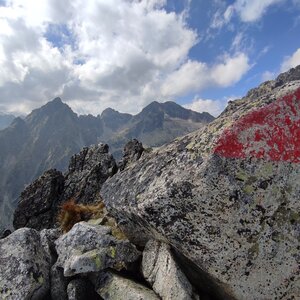 Miroslav Příhonský on the summit of Veľká Lomnická veža (18.8.2024 14:45)