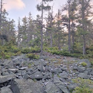 Cyklista 73 na vrcholu Hradiště (21.5.2025 5:36)