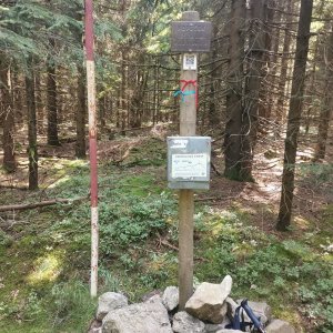 HBPE on the summit of Kopeček (7.8.2025 11:30)