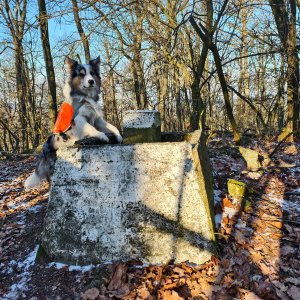 Jiří Králík on the summit of Nagy-Kő-tető (3.1.2026 9:38)