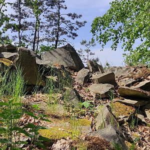 Vratislav Sejkora na vrcholu Maršovický vrch (22.5.2023 15:34)