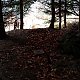 Jiřina na vrcholu Hluboká (14.11.2021 20:39)