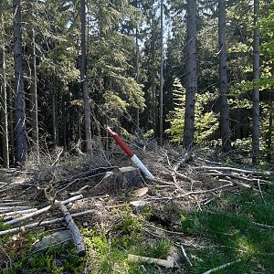 ZdenkaV na vrcholu Leští (15.5.2022 11:54)