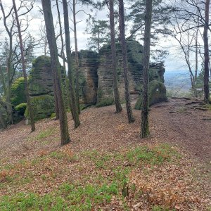 Mykas na vrcholu Velký beškovský vrch (15.4.2023 15:49)