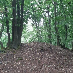 ZdenkaV na vrcholu Velký beškovský vrch (27.7.2023 15:28)