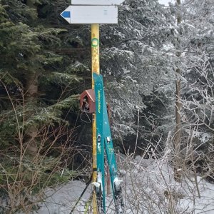 Milda on the summit of Hrubá bučina (30.1.2026 14:57)