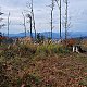 Horalka Anička on peak Wielki Groń (15.10.2022)