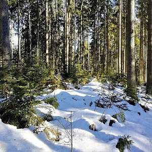 Vladimír Grančay na vrcholu Klín (23.2.2019 14:17)