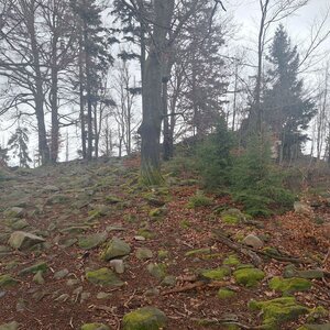 Cyklista 73 on the summit of Hradisko (23.2.2024 13:57)