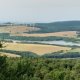 Nojby na vrcholu Jelení hora