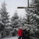Nojby na vrcholu Jelení hora
