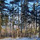 TP na vrcholu Rozhled (18.12.2022)