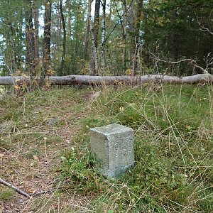 Nojby na vrcholu Rozhled (8.10.2021 10:53)