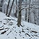 Evík na vrcholu Hukvaldy - hradní vrch (16.1.2021 13:55)