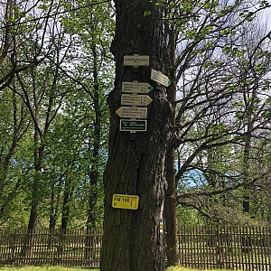 Kateřina Turčeková na vrcholu Hukvaldy - hradní vrch (10.5.2021 14:00)